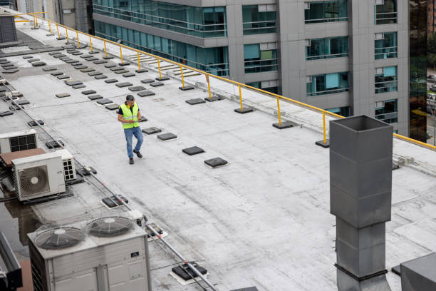 Best Cold Roofs  in Hutto, TX