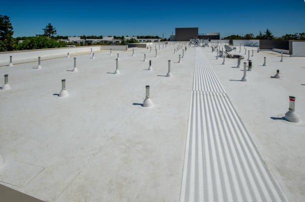 Best Cold Roofs  in Hutto, TX